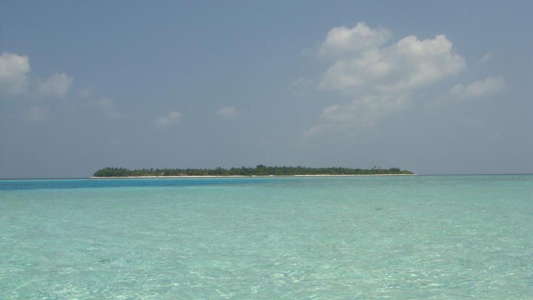 Photo of Others in Fodhdhoo
