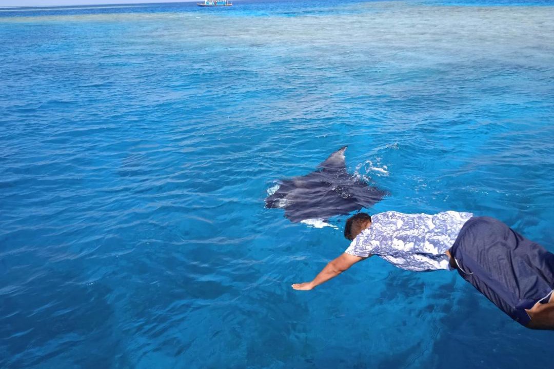 Photo of Others in Guraidhoo