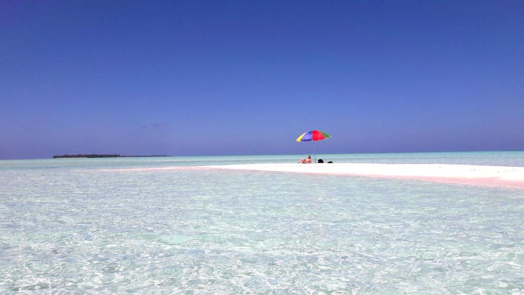 Photo of Others in Magoodhoo