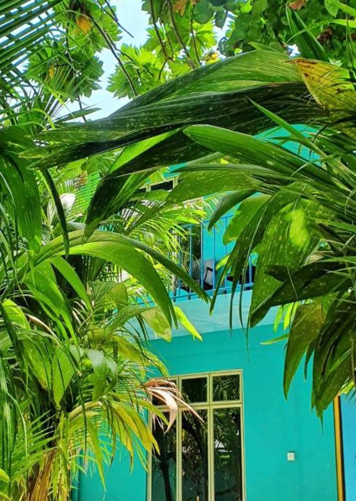 Photo of Outdoor in Nilandhoo