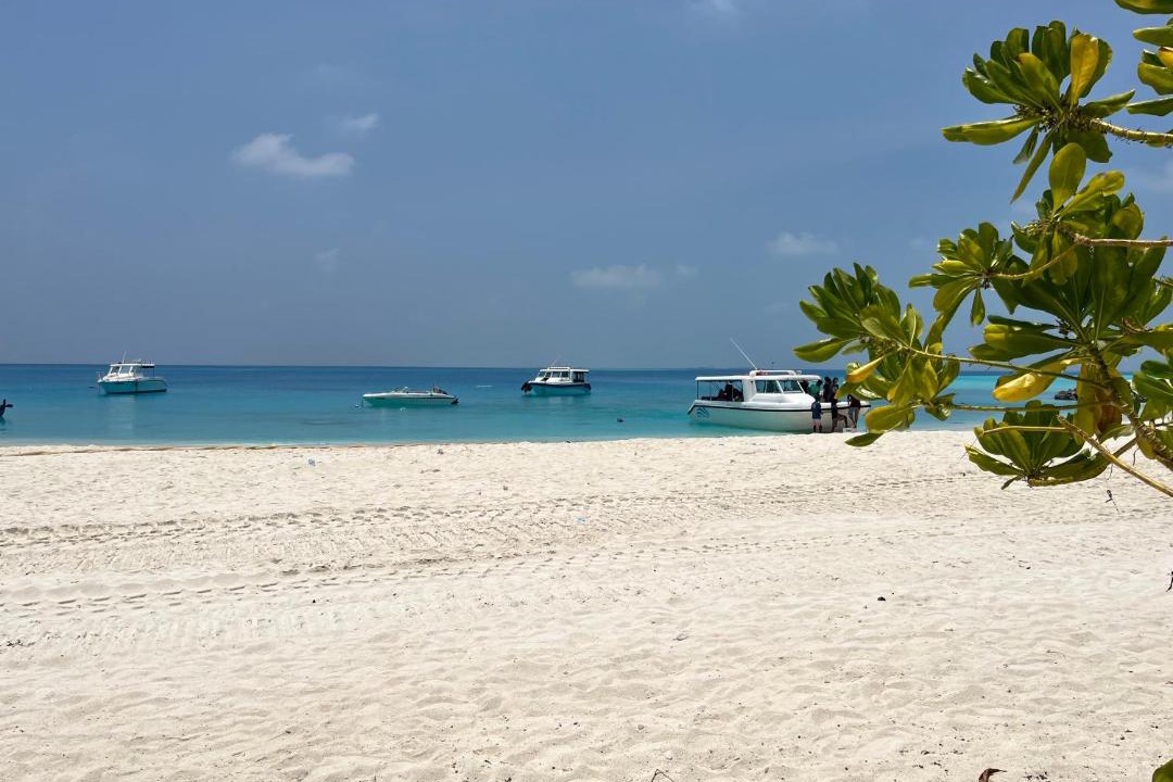 Photo of Others in Fulidhoo