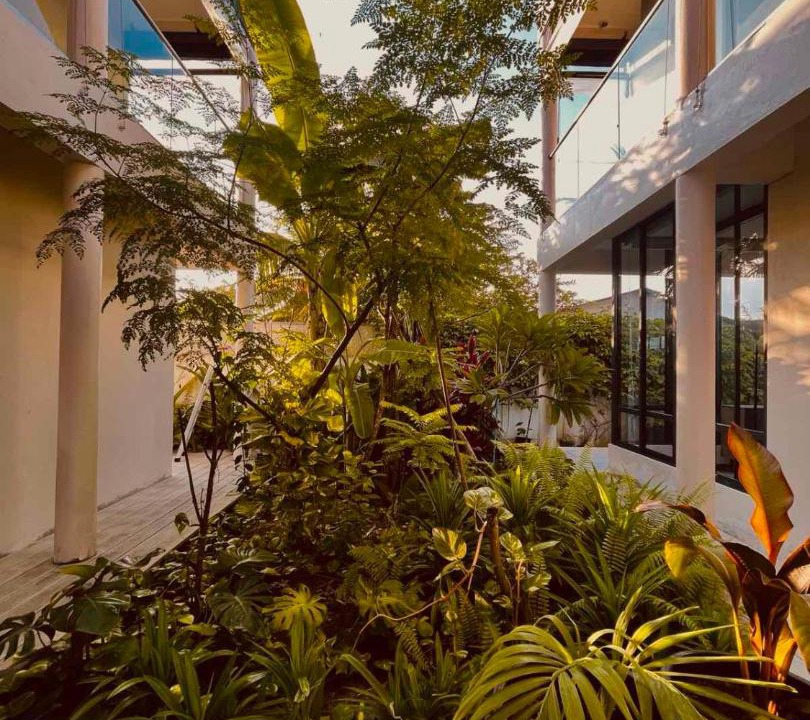 Photo of Buildings in Hanimaadhoo