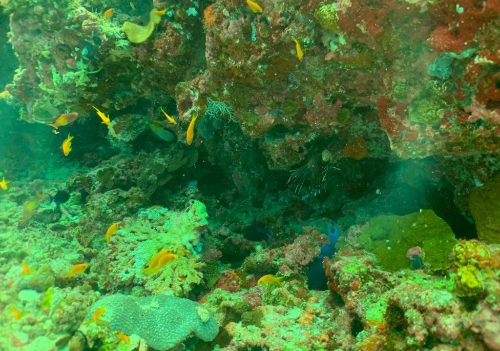 Photo of Outdoor in Hangnaameedhoo