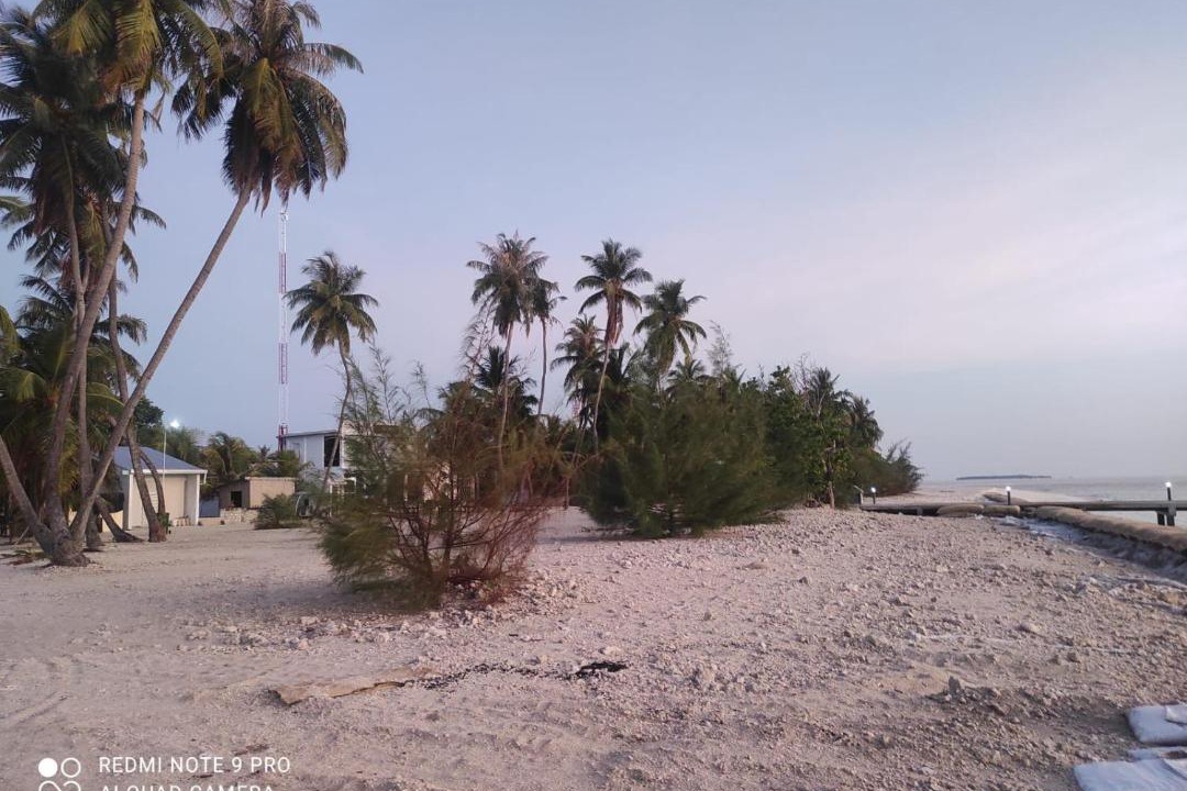 Photo of Others in Fodhdhoo