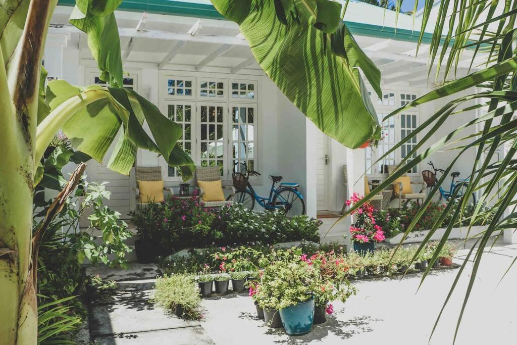 Photo of Others in Feydhoo