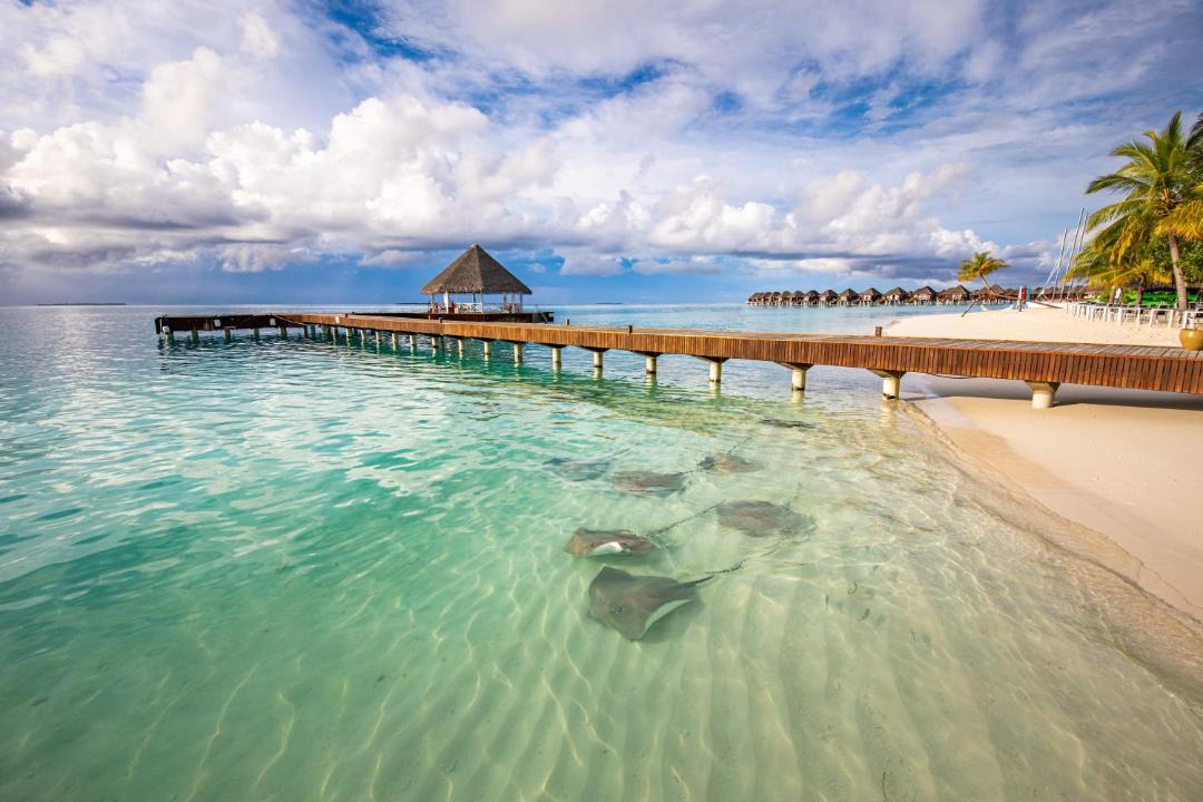 Photo of Others in Vilu Reef