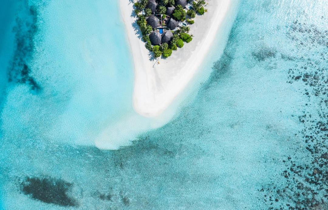 Photo of Others in Rinbudhoo