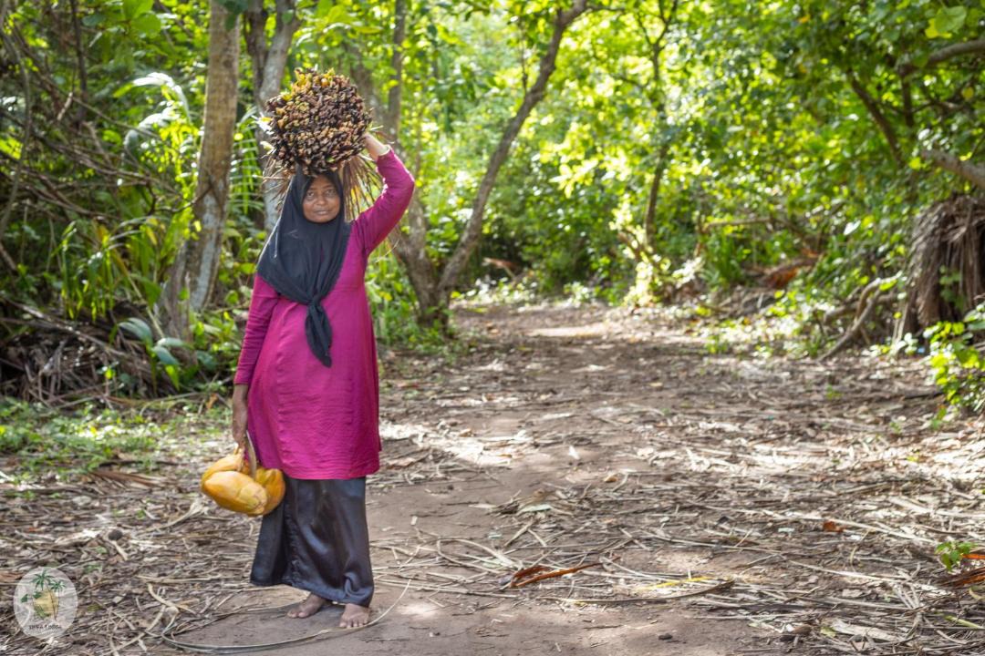 Photo of Others in Feridhoo