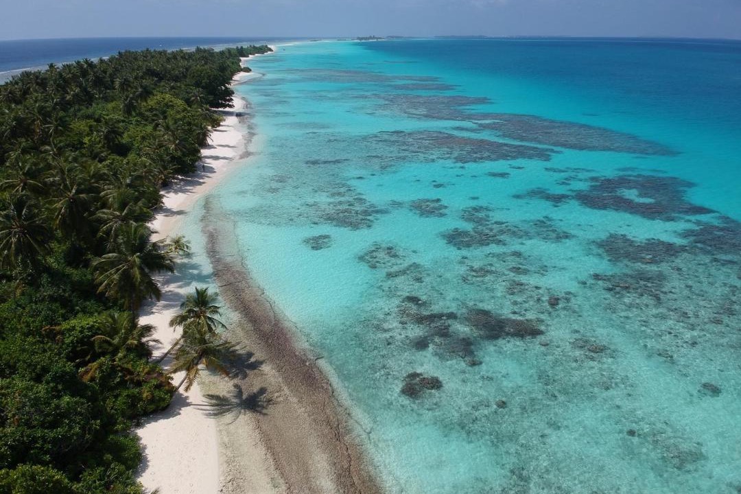 Photo of Others in Dhigurah
