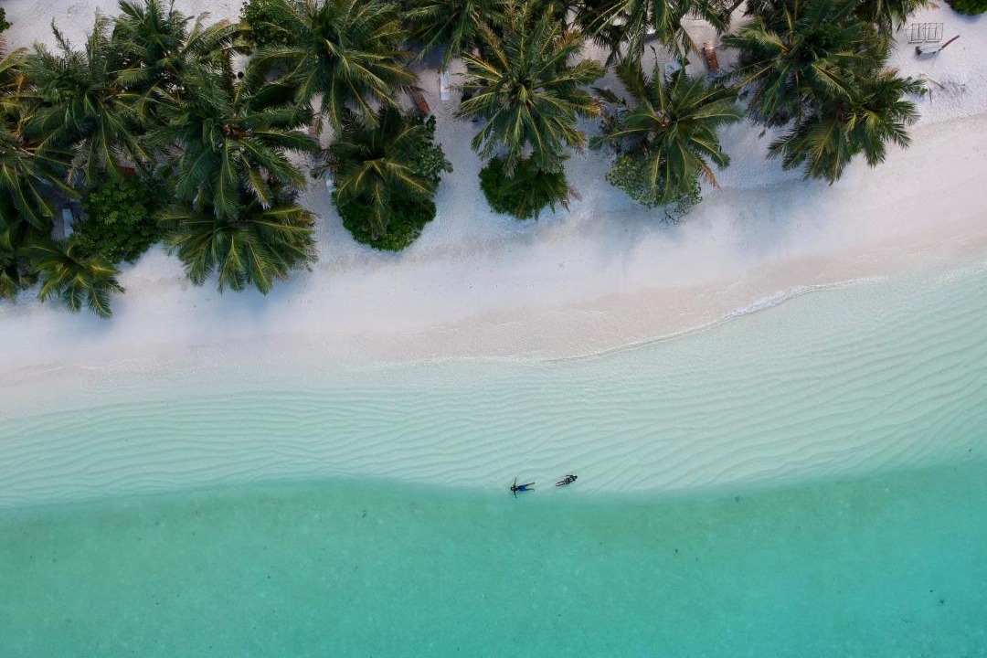 Photo of Others in Thoddoo