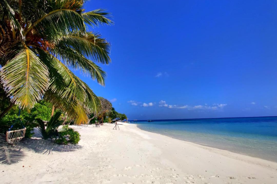 Photo of Others in Thoddoo