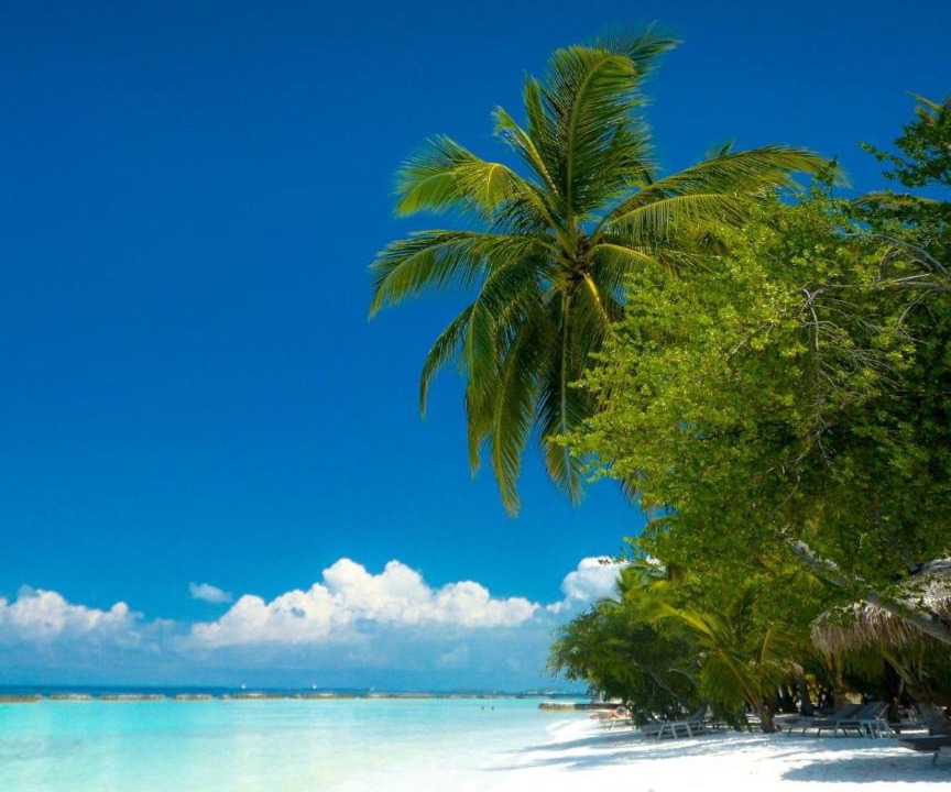 Photo of Others in Himmafushi