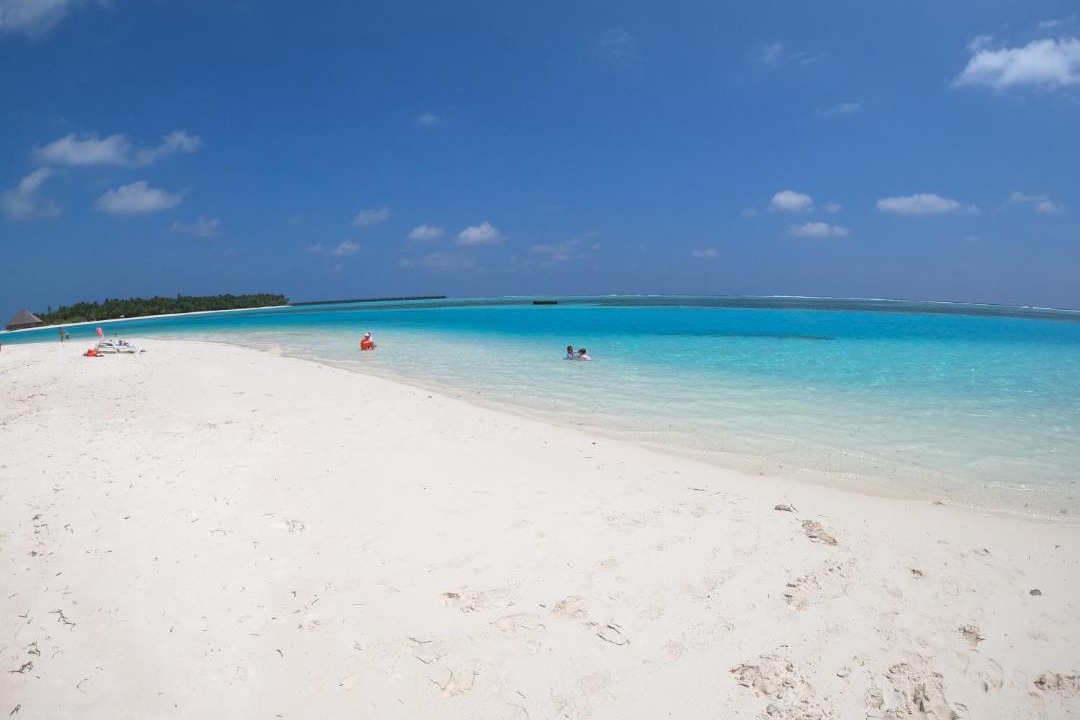 Photo of Others in Dhiffushi