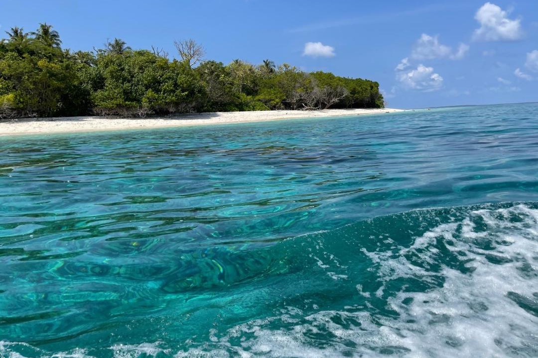 Photo of Others in Hanimaadhoo