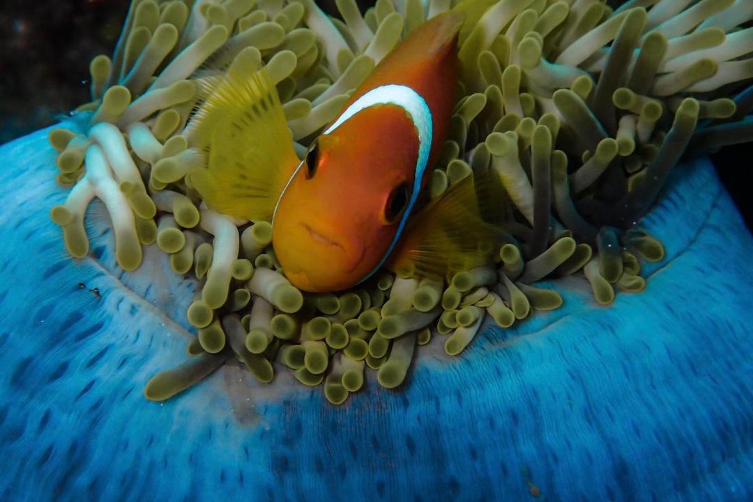 Photo of Others in Keyodhoo