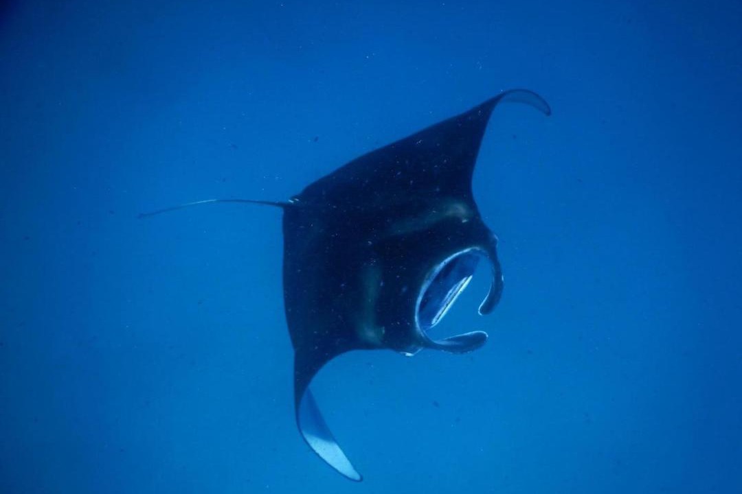 Photo of Others in Keyodhoo