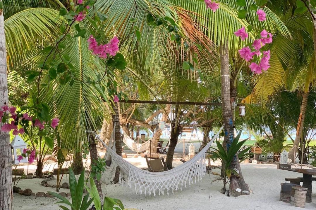 Photo of Others in Thulusdhoo Island