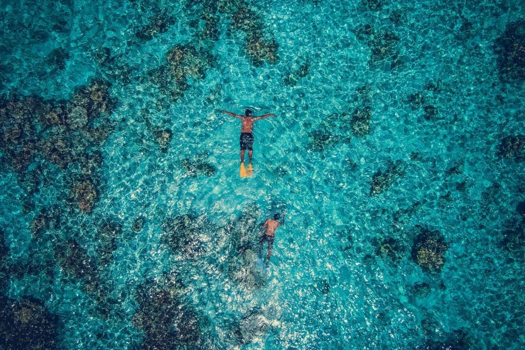 Photo of Human In Picture in Feridhoo