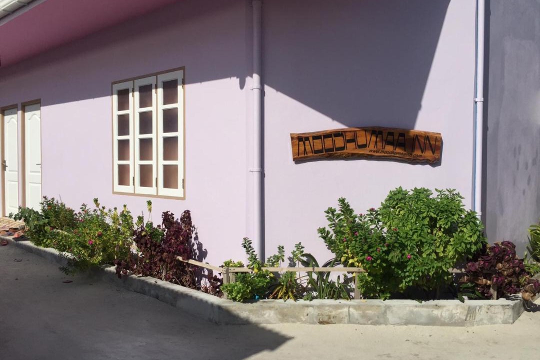 Photo of Others in Guraidhoo