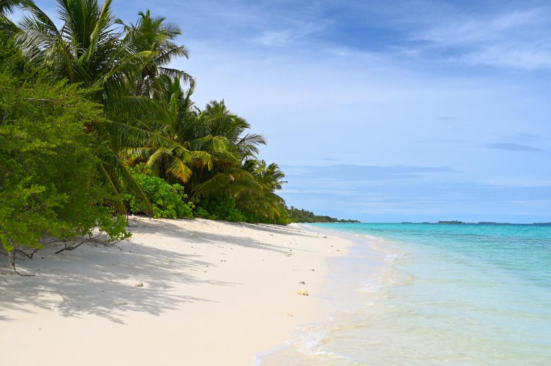Photo of Others in Dhigurah
