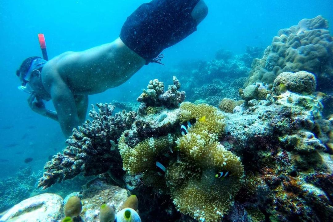 Photo of Others in Guraidhoo