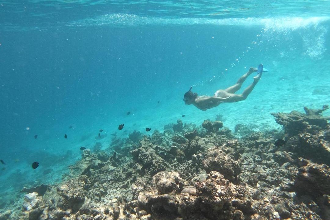 Photo of Others in Guraidhoo
