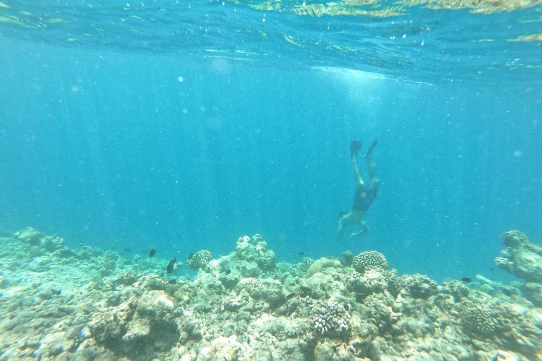 Photo of Others in Guraidhoo