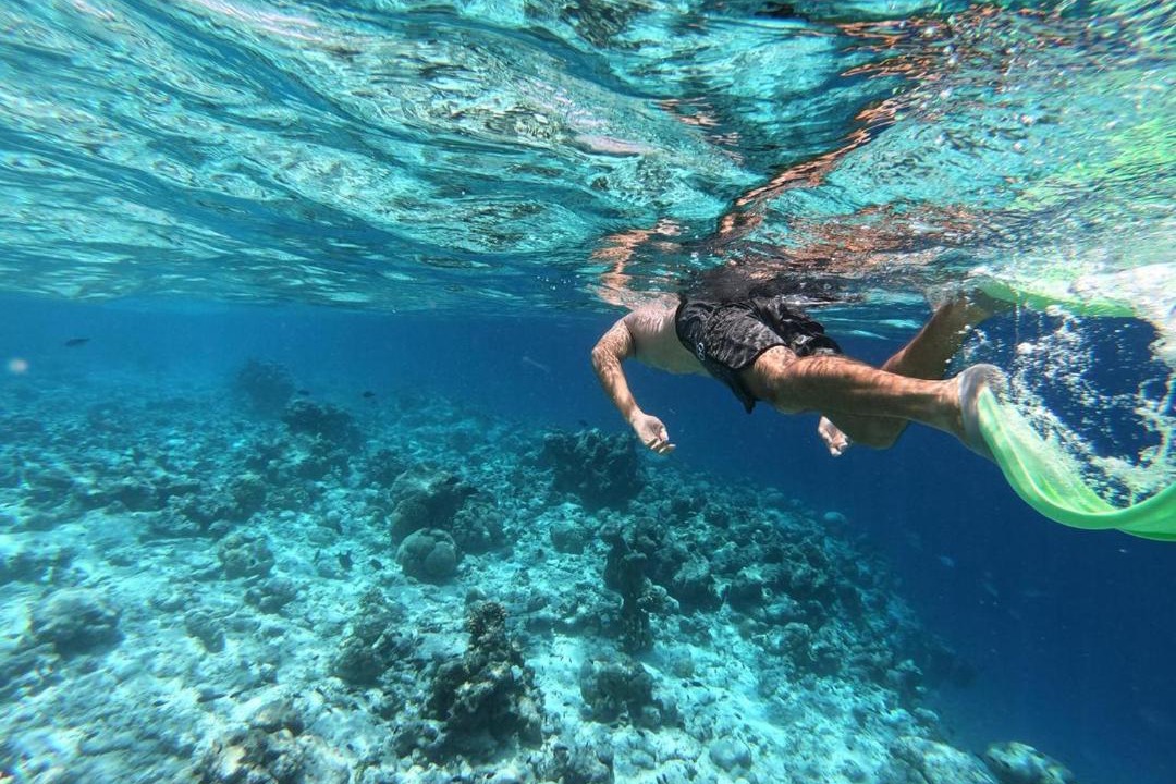 Photo of Others in Guraidhoo
