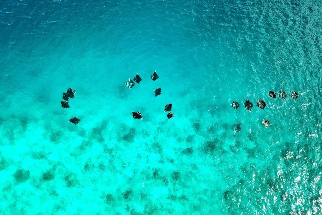 Photo of Others in Dhigurah