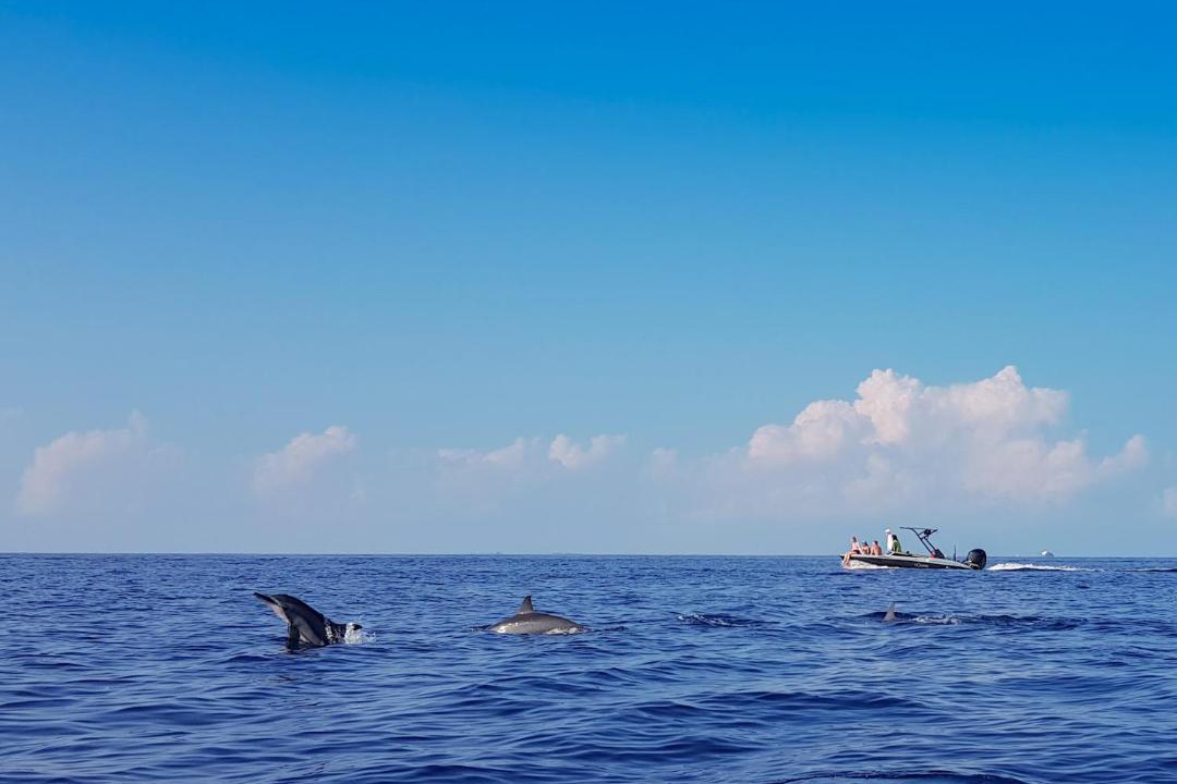 Photo of Others in Ukulhas