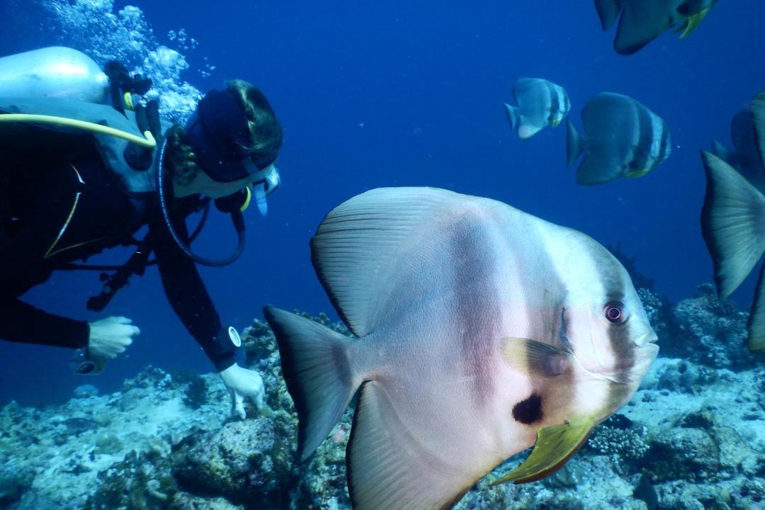 Photo of Others in Dhigurah
