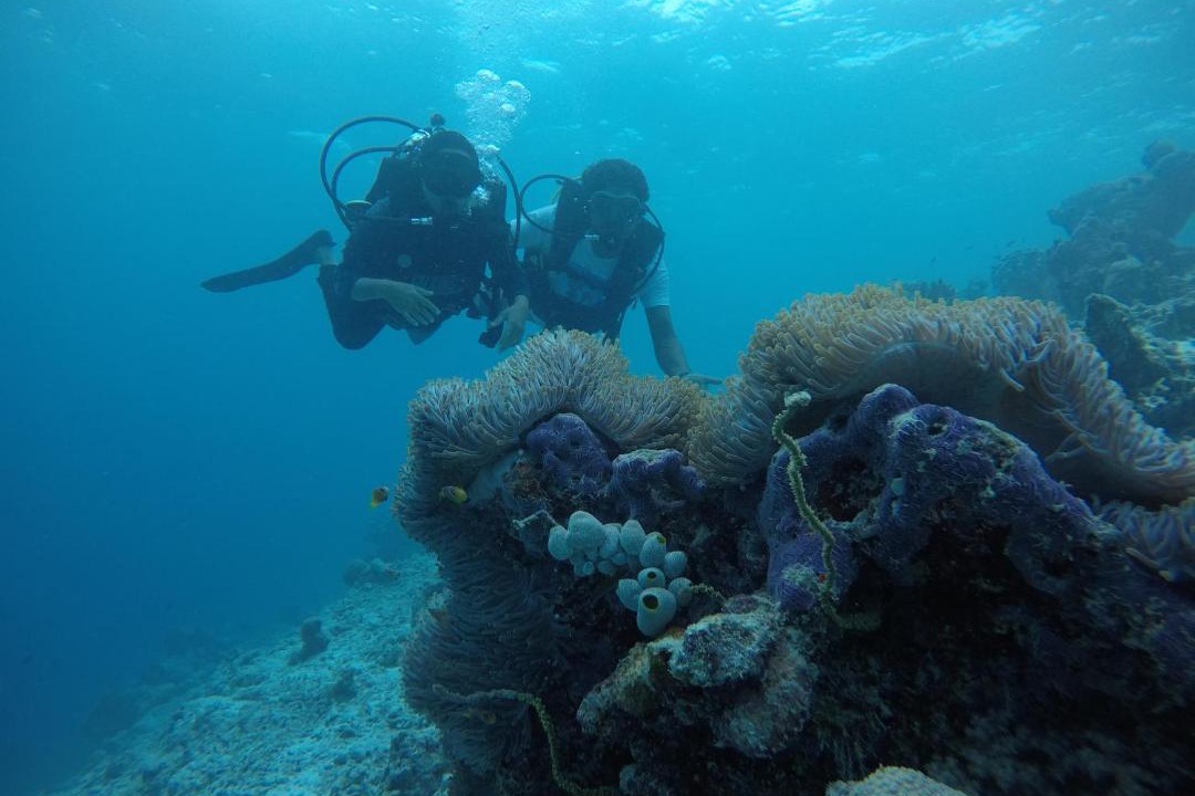 Photo of Outdoor in Rasdhoo