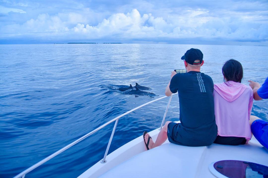 Photo of Others in Dhiffushi