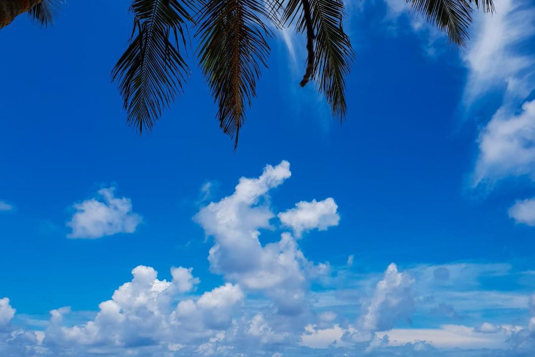 Photo of Others in Fulidhoo