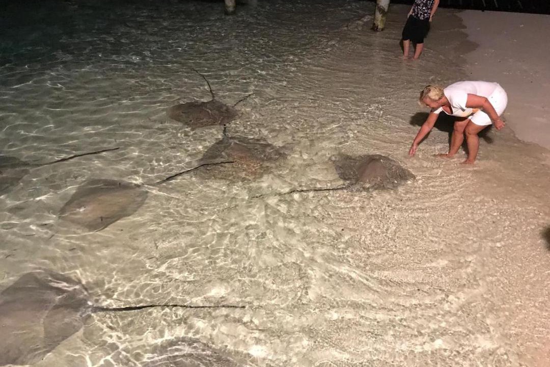 Photo of Others in Fulidhoo