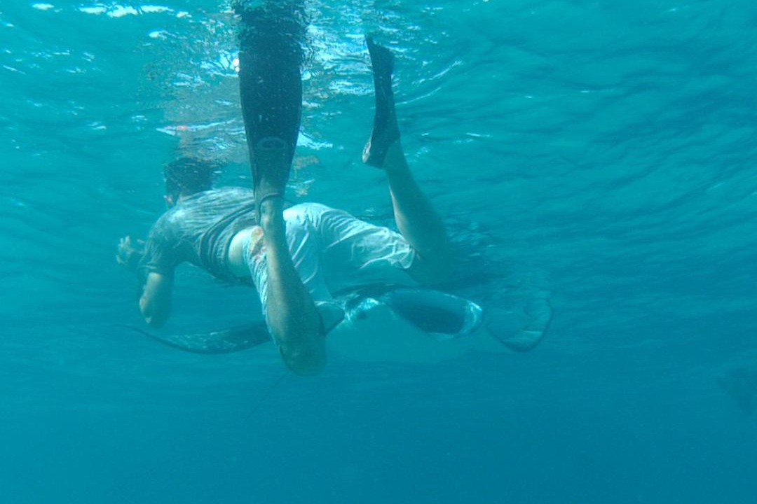 Photo of Others in Feridhoo