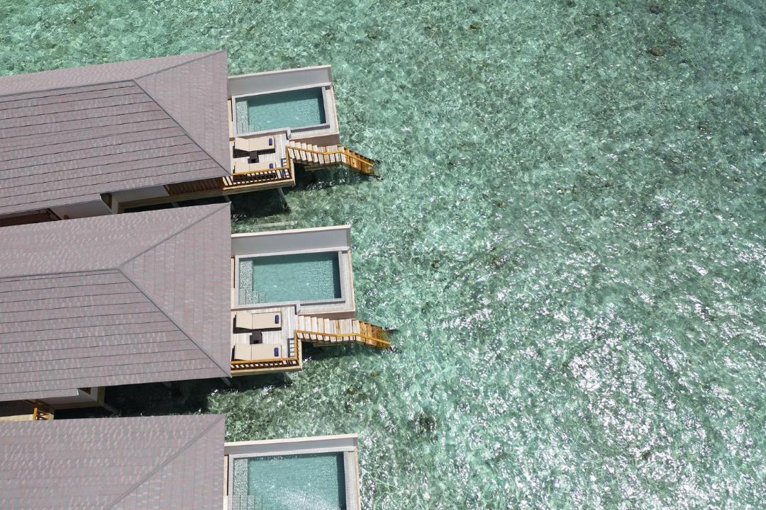 Photo of Others in Kottefaru