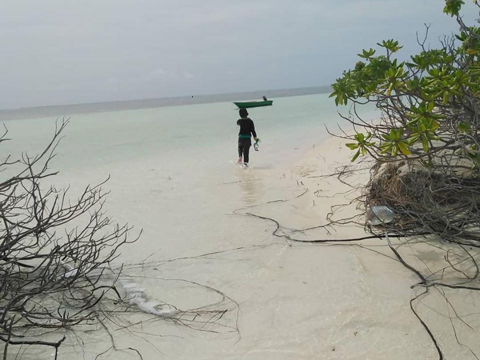 Photo of Human In Picture in Kaashidhoo