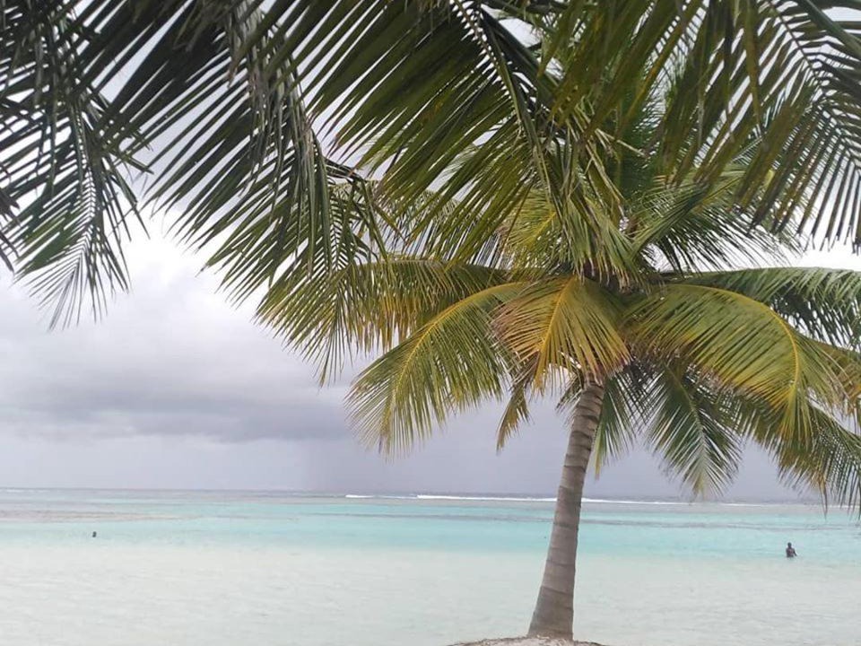 Photo of Others in Kaashidhoo