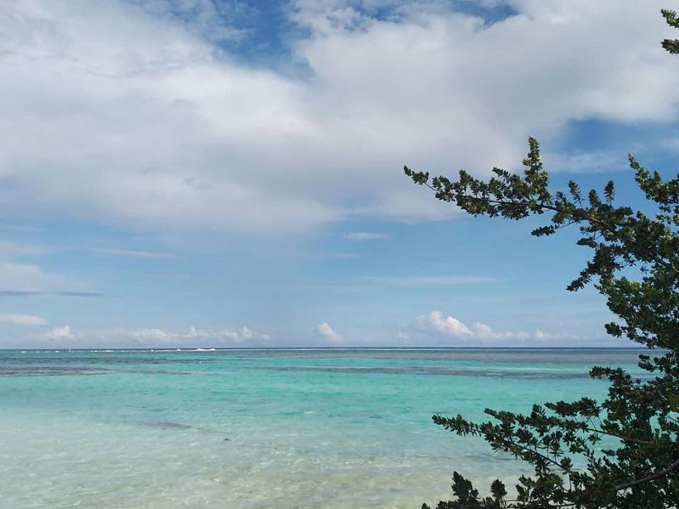 Photo of Others in Kaashidhoo