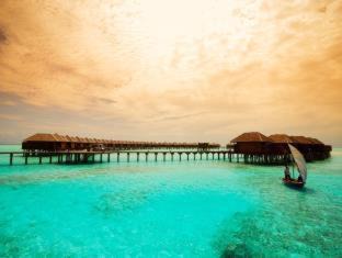 Photo of Others in Olhuveli