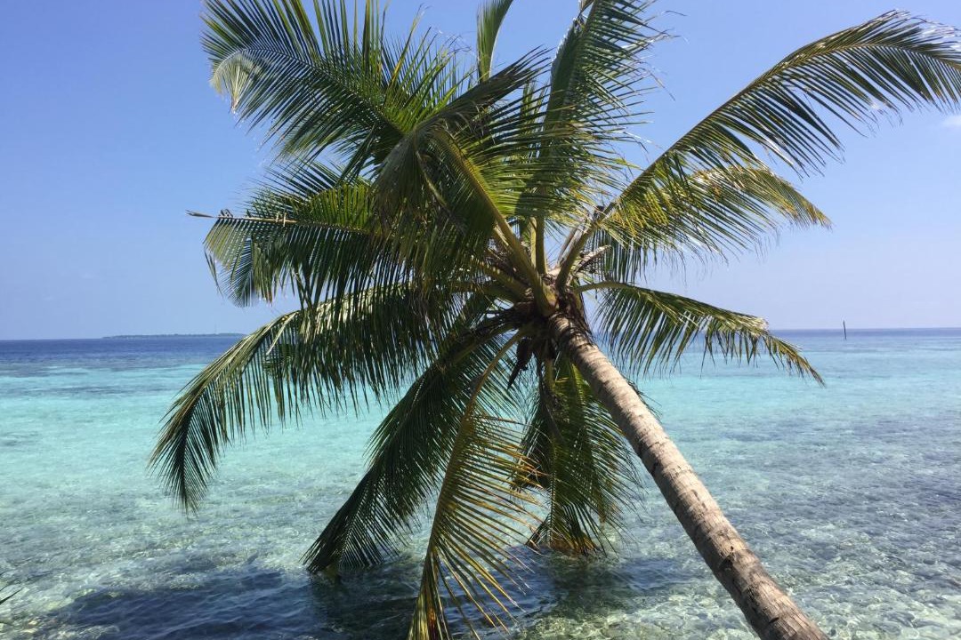 Photo of Others in Omadhoo