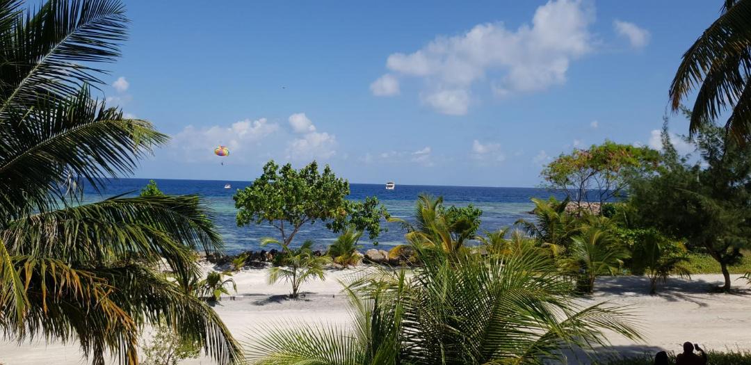 Photo of Others in Maafushi