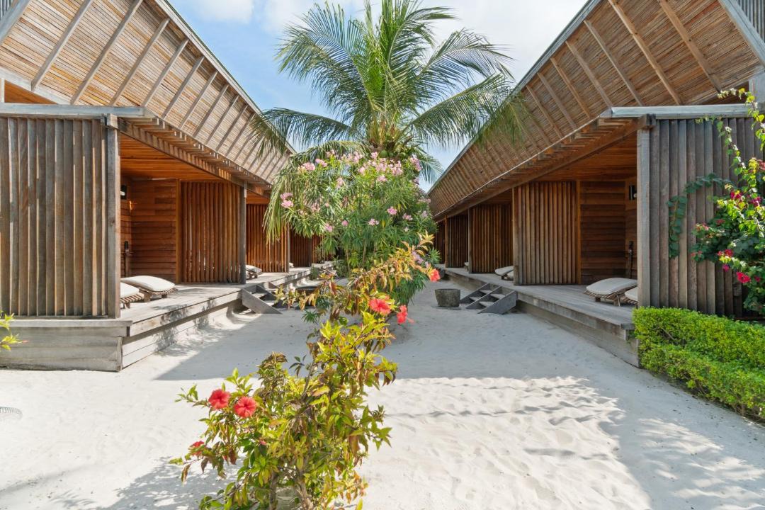 Photo of Others in Hanimaadhoo