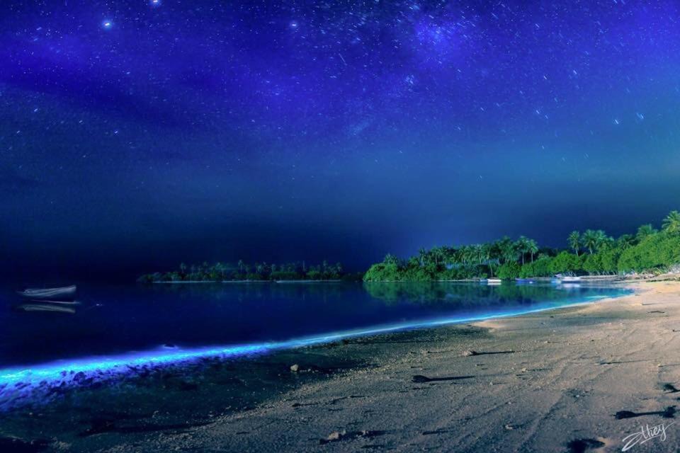 Photo of Outdoor in Guraidhoo