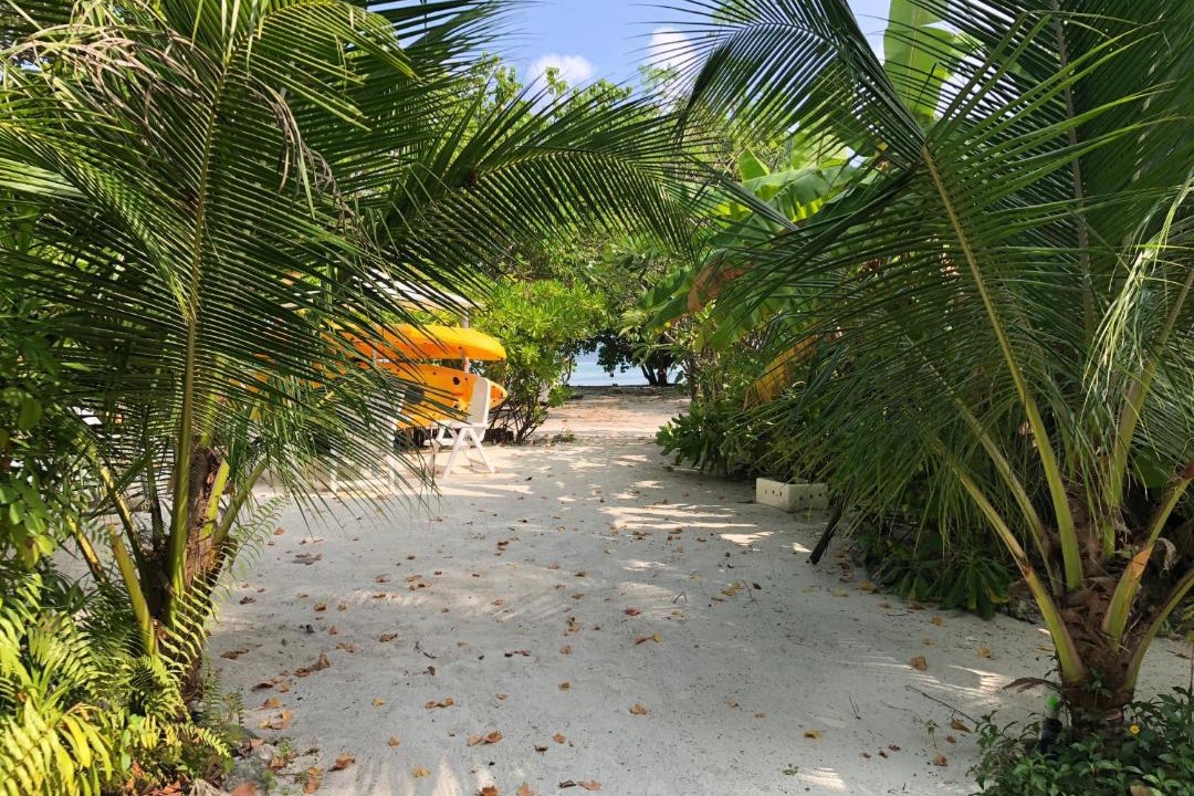 Photo of Others in Guraidhoo