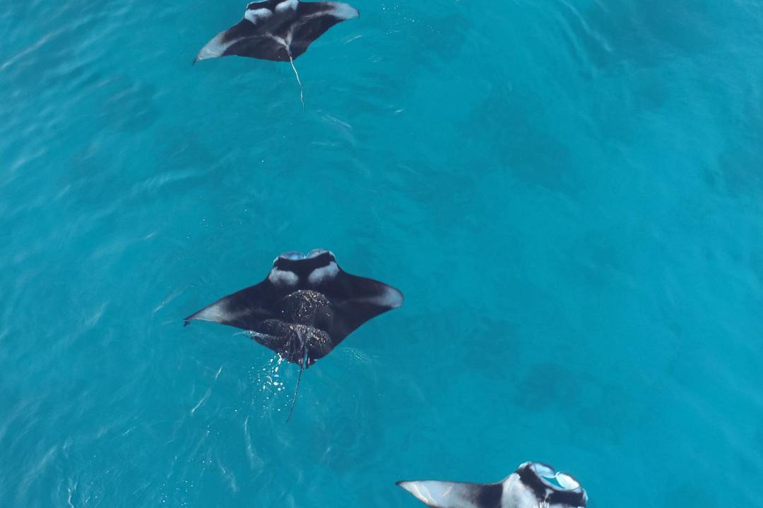 Photo of Others in Rasdhoo