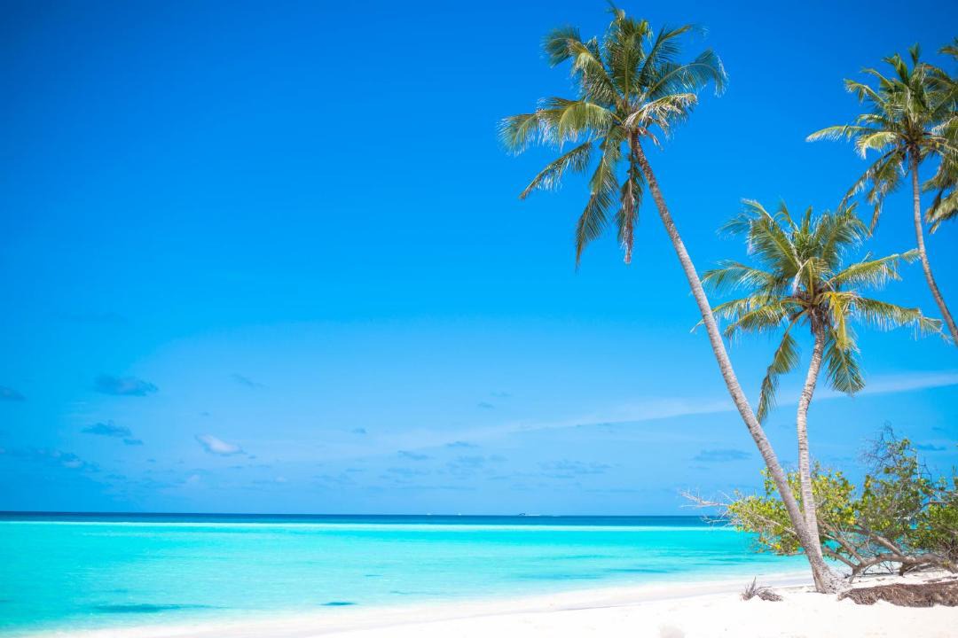 Photo of Others in Fulidhoo