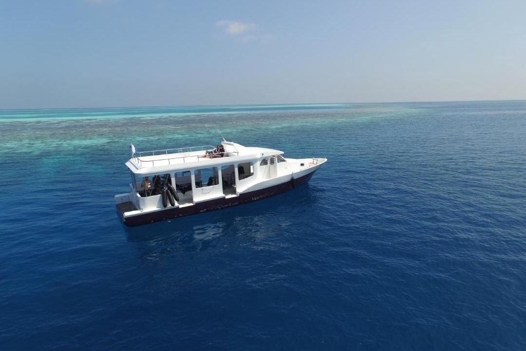 Photo of Others in Dhigurah