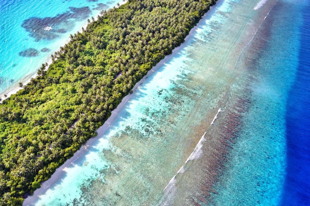 Photo of Others in Dhigurah